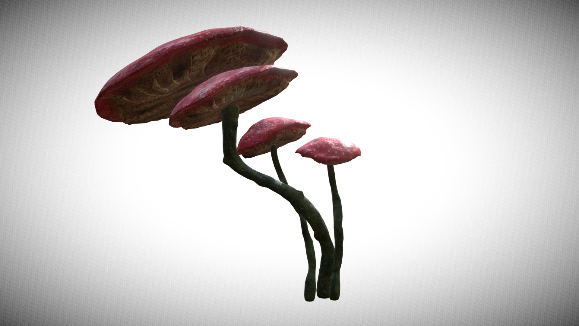 3D model Big Mushroom - This is a 3D model of the Big Mushroom. The 3D model is about a close-up of a flower.