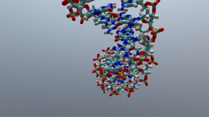DNA Explainer 3D Model