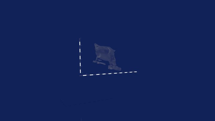 Αμφιτρίτη 3D Model