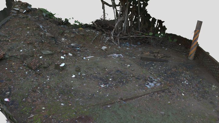 2024-10-08 Banyan site 3D Model