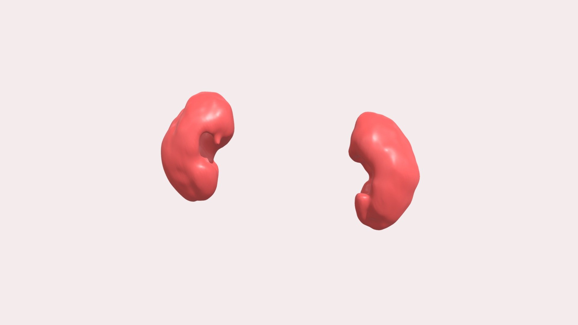 Segmentation_kidney