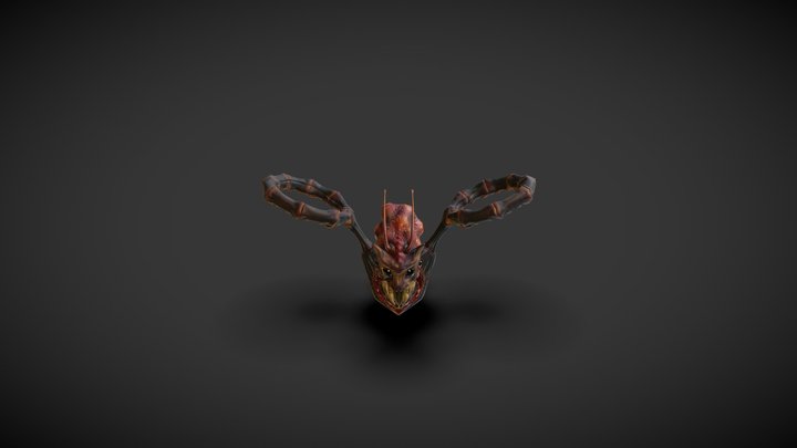 AlienFlyer 3D Model