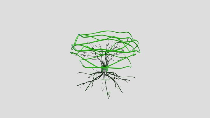 Prototype 3 3D Model