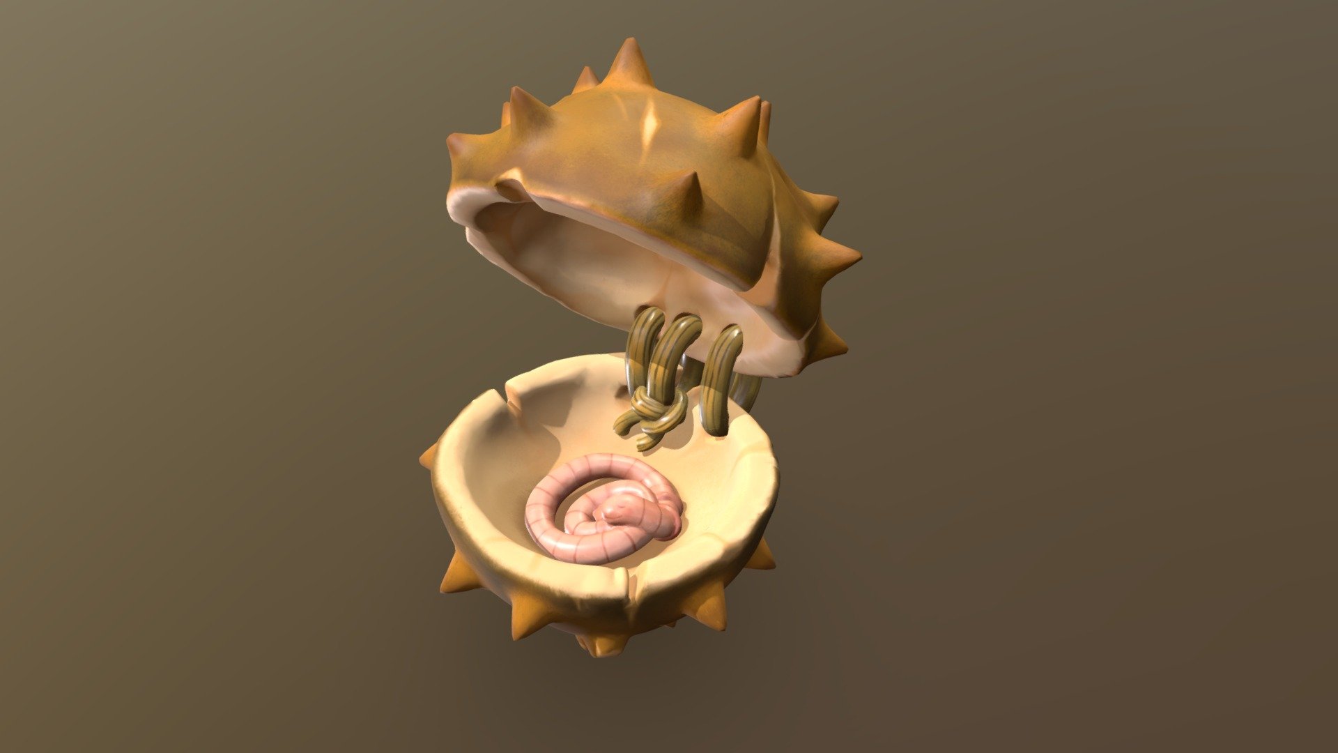 conker storage - 3D model by SugarBeetle [083deb4] - Sketchfab