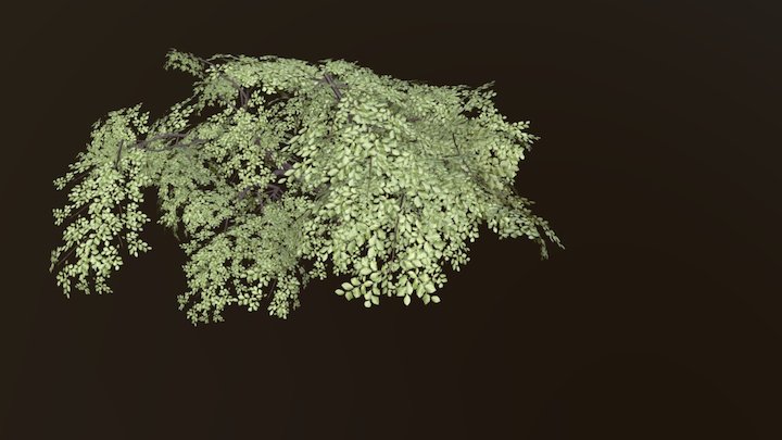 Tree Foliage 3D Model