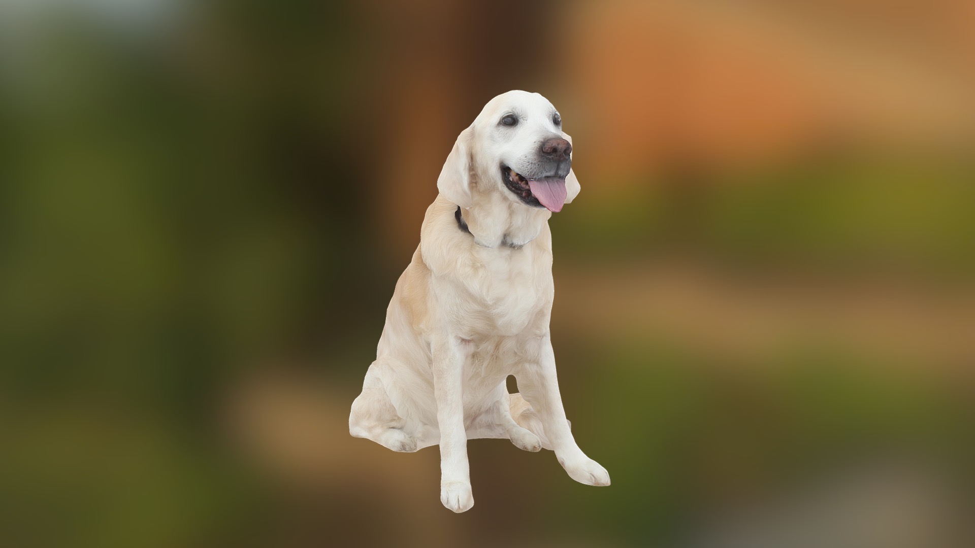 3D model Golden Retriever - This is a 3D model of the Golden Retriever. The 3D model is about a dog running in the grass.