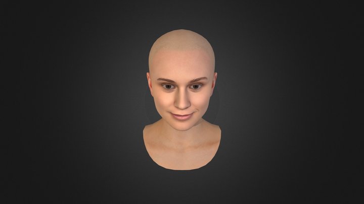 Full head with rig. 3D Model