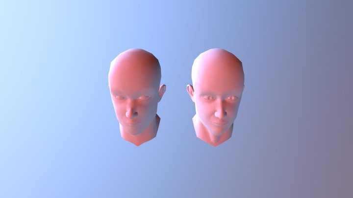 Head Model 3D Model