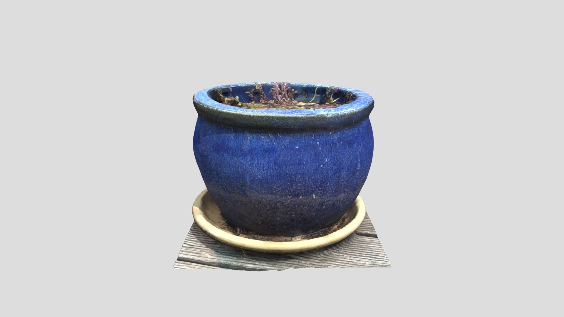 Pot of weeds