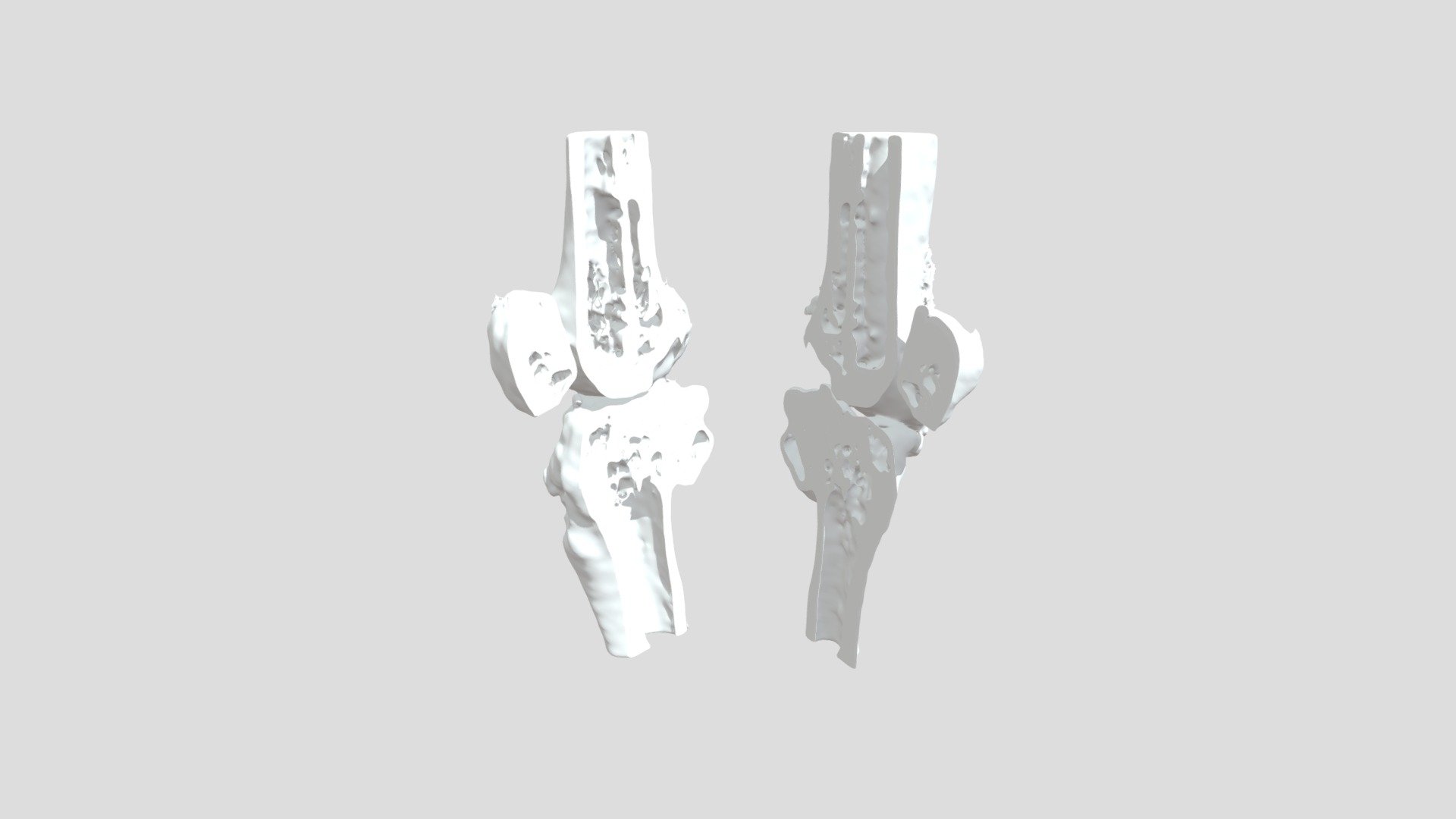Segmentation San Rt Bone Rodsplit - 3D model by curisdata.science ...