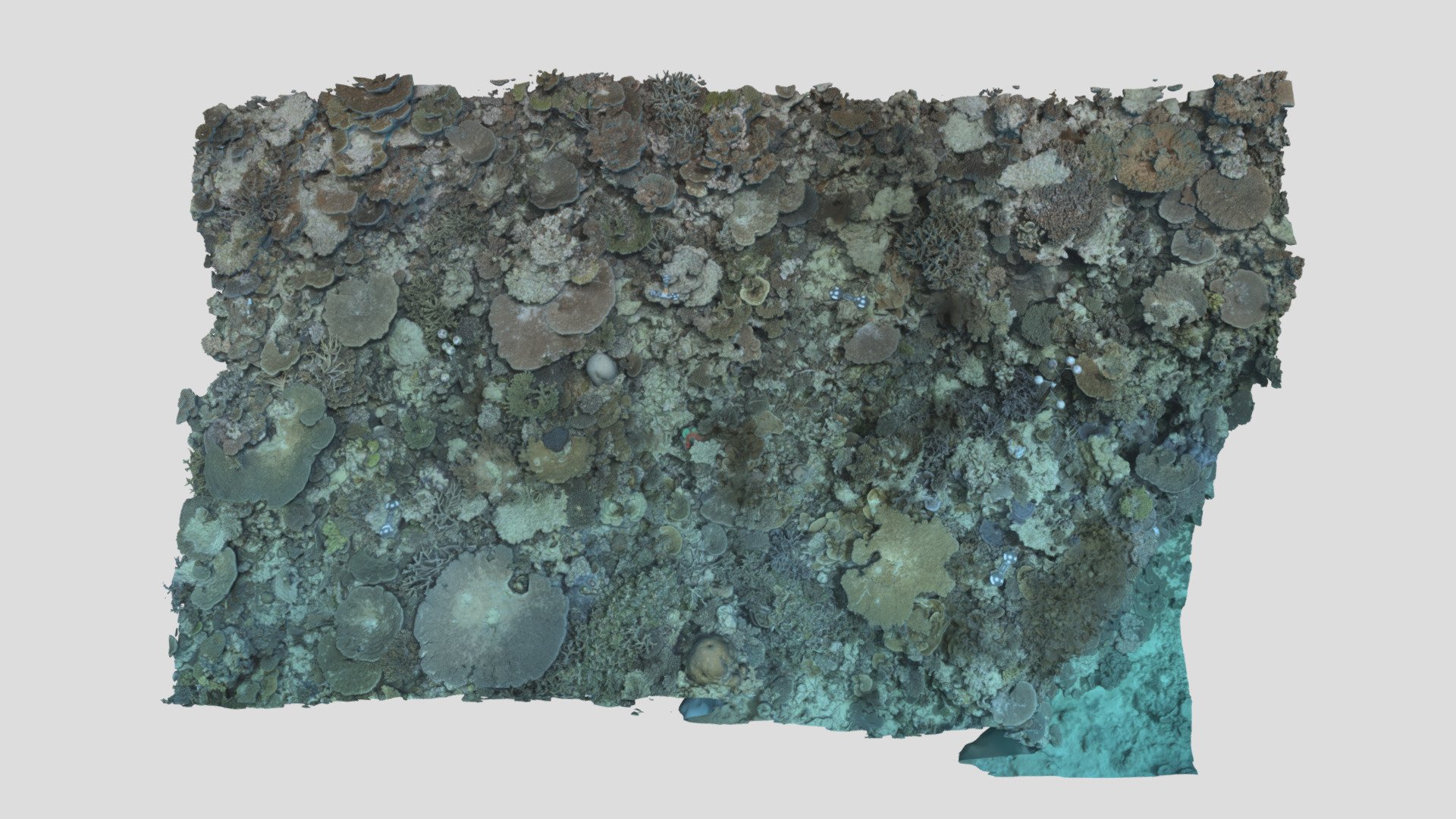 Heron_BA2S_P2_202305 - Download Free 3D model by EcoRRAP (@AIMSEcoRRAP ...