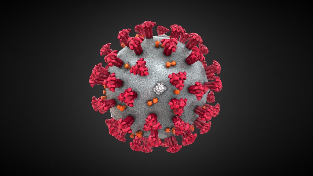 Corona Virus 3D Model
