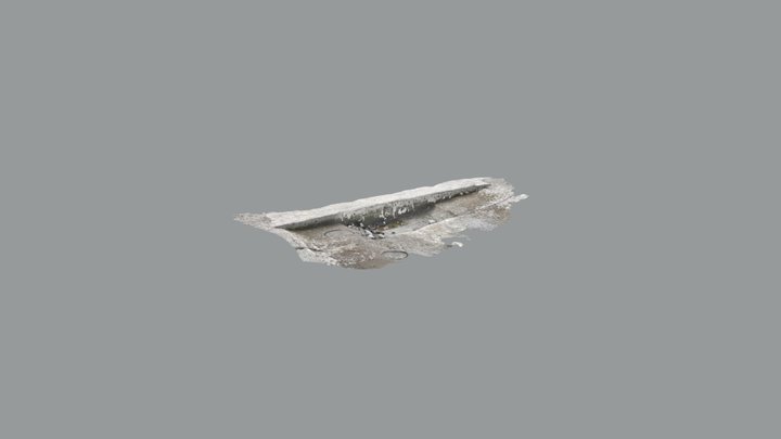 Scaniverse Model 3D Model