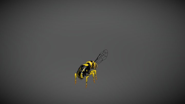 Giant Wasp 3D Model
