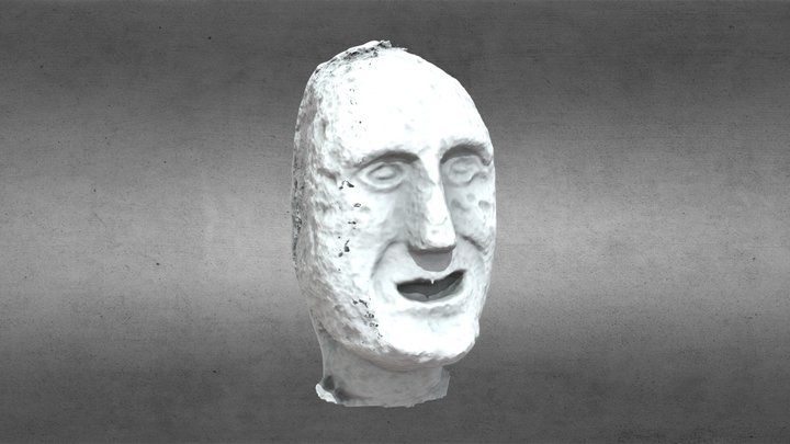 Carved Head - 19th C. South Tipperary 2 3D Model