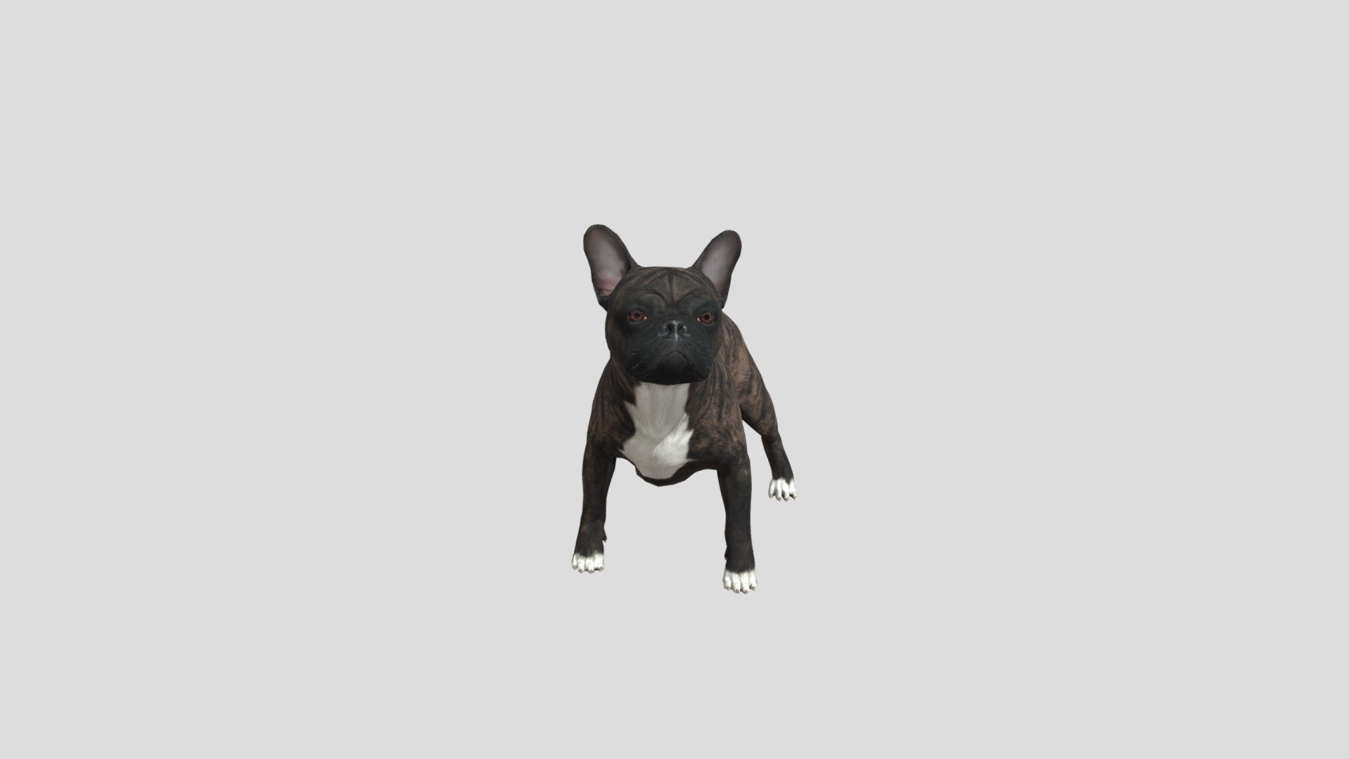 Dog French bulldog - 3D model by Phil3D [08552f8] - Sketchfab