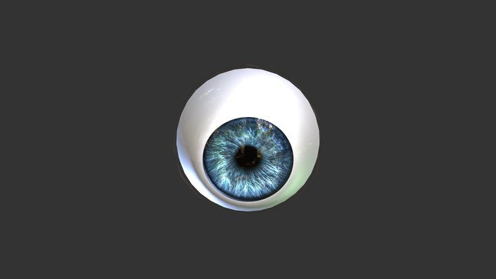 Eye 3D Model