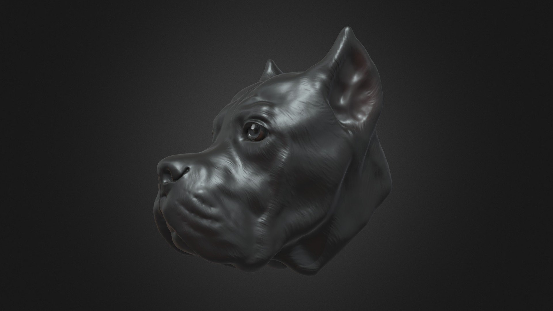 Samuel's Cane Corso model - 3D model by Seed by mi (@seedbymi) [085c9a7 ...