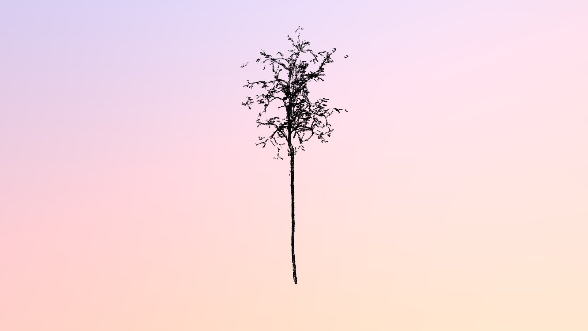 tree_u8.las