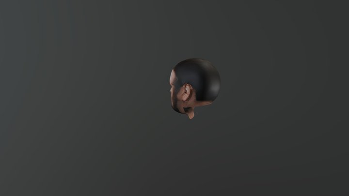 Head 3D Model