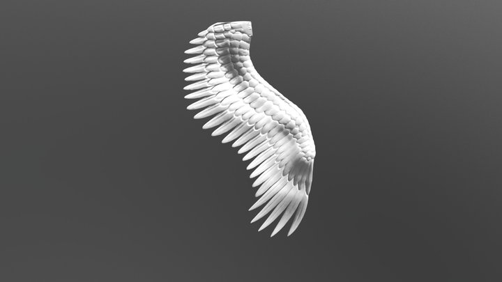 Wing4 3D Model