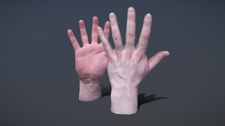 Male Hands 3D Model
