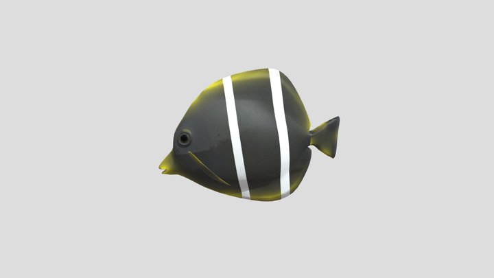 Black Striped Fish 3D Model