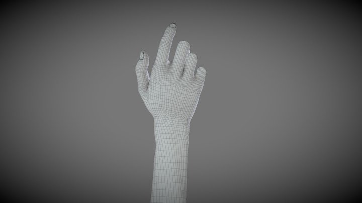 Female Hand 3D Model