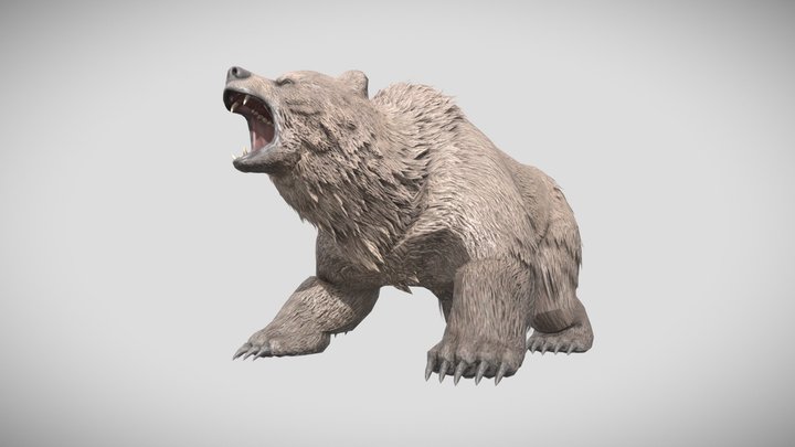 Realistic Roaring Bear 3D Model