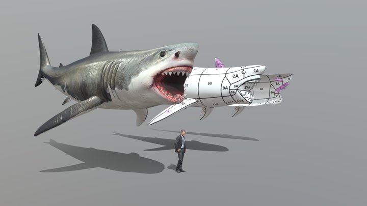 megalodon guia sketchfab 3D Model