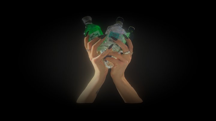 Hands 3D Model