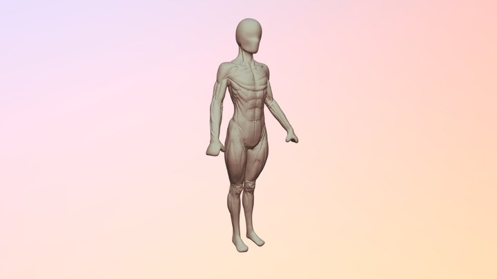 Musculoso Mujer 3D Model