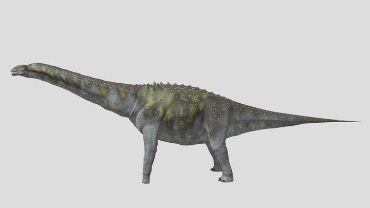 Argentinosaurus Accurate 3D Model