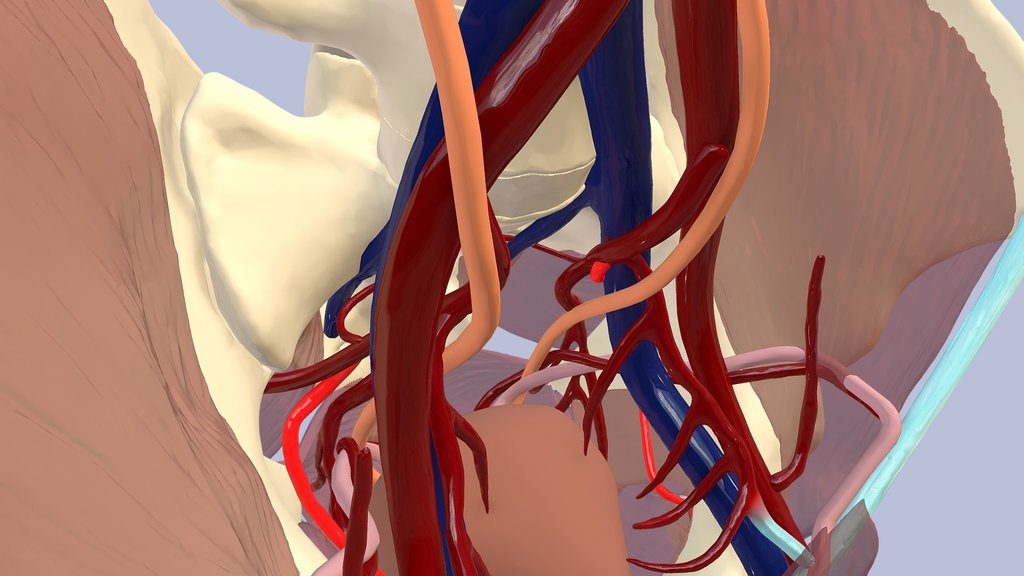 Reproduction - A 3D model collection by kvitkaz2 - Sketchfab