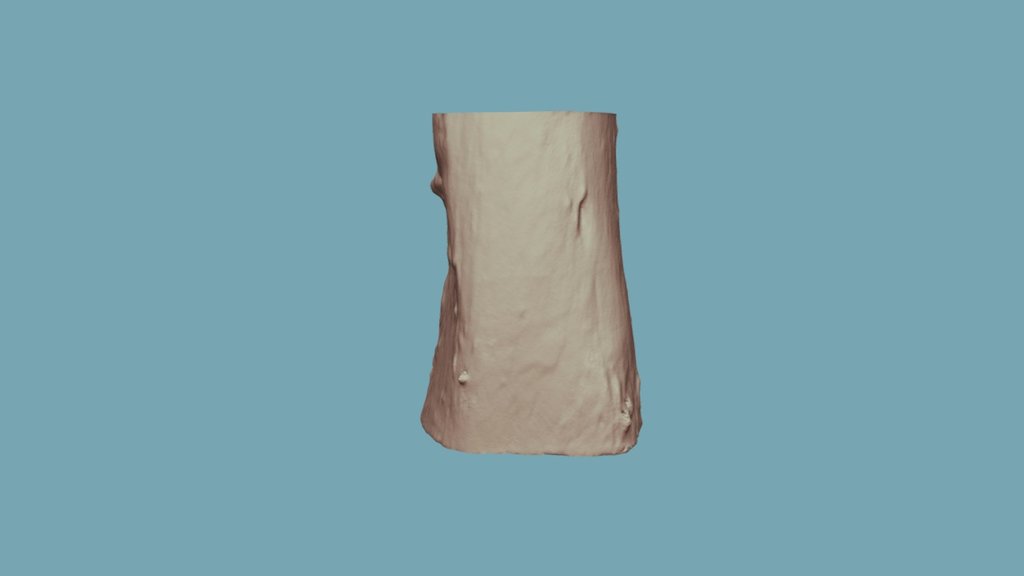 9-4 (Post-burn)
