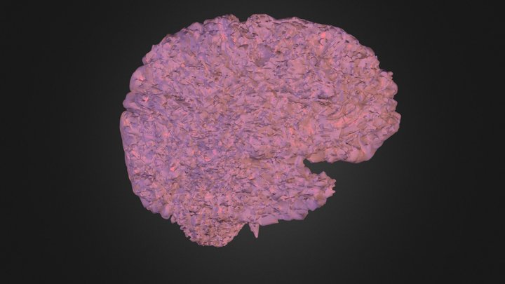 ImageJ T1 Brain 3D Model