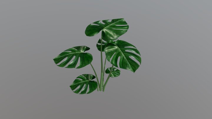 Plant 3D Model