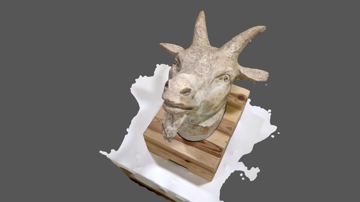 cap d’animal museu tortosa 3D Model