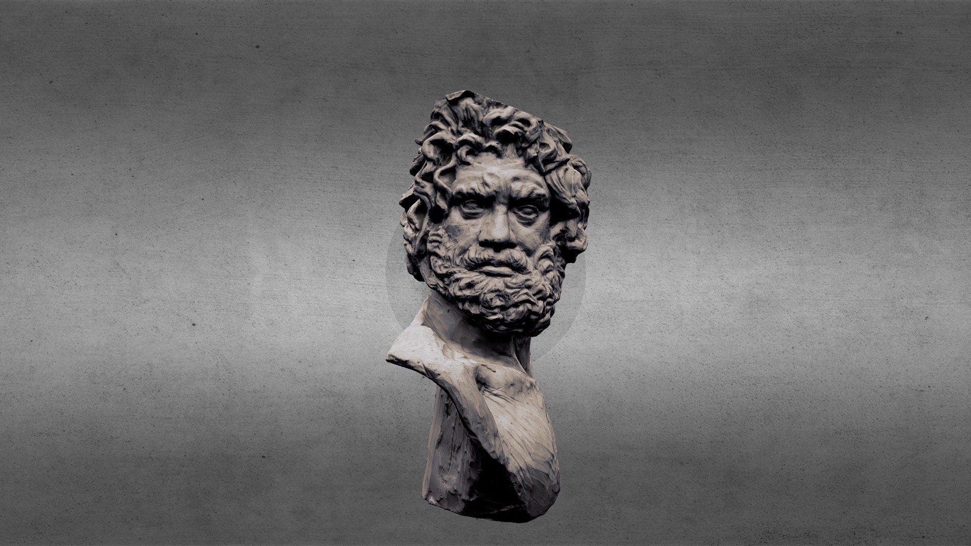 Copia busto eseguito da allieva liceo artistico