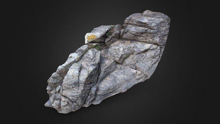 Beach Rock 3D Model