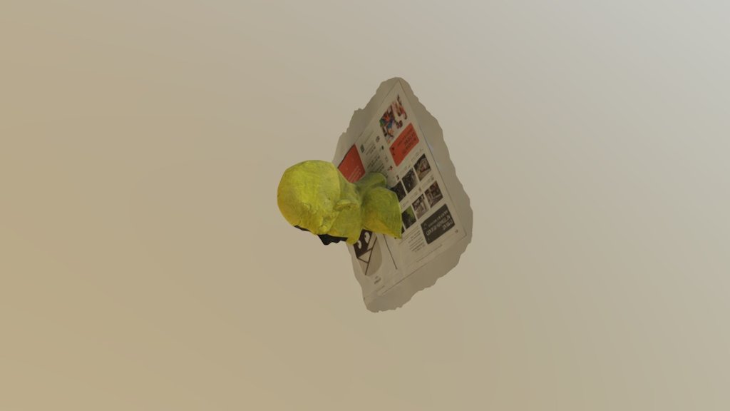 A TRNIO Model
