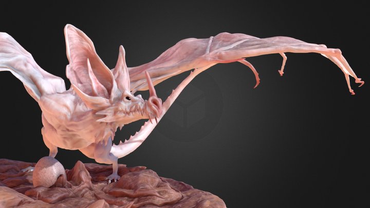 Little Bat Dragon 3D Model