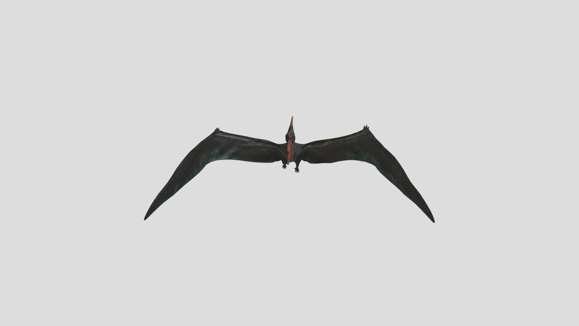 Pteranodon