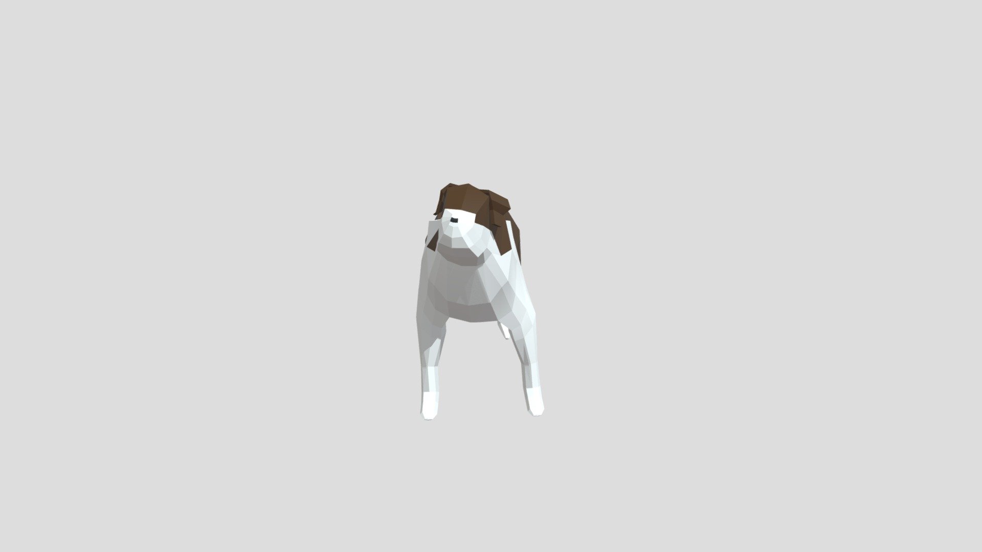 Saint- Bernard Dog LowPoly