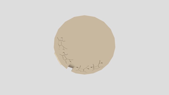 Copy Of Magnificent Leelo- Snicket 3D Model