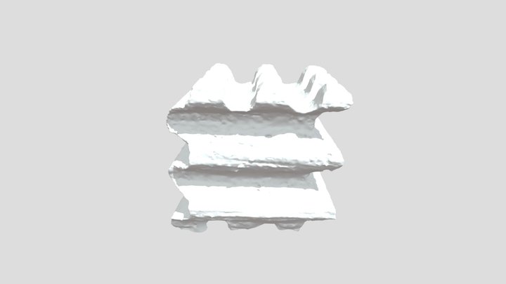 COStruct 3D Model