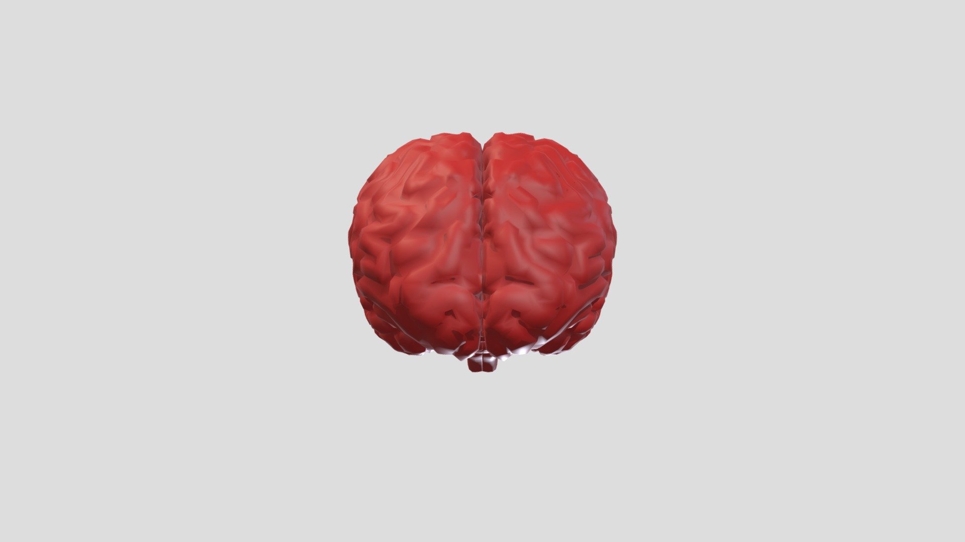 Brain - Download Free 3D model by mikosiregar [0894ee2] - Sketchfab