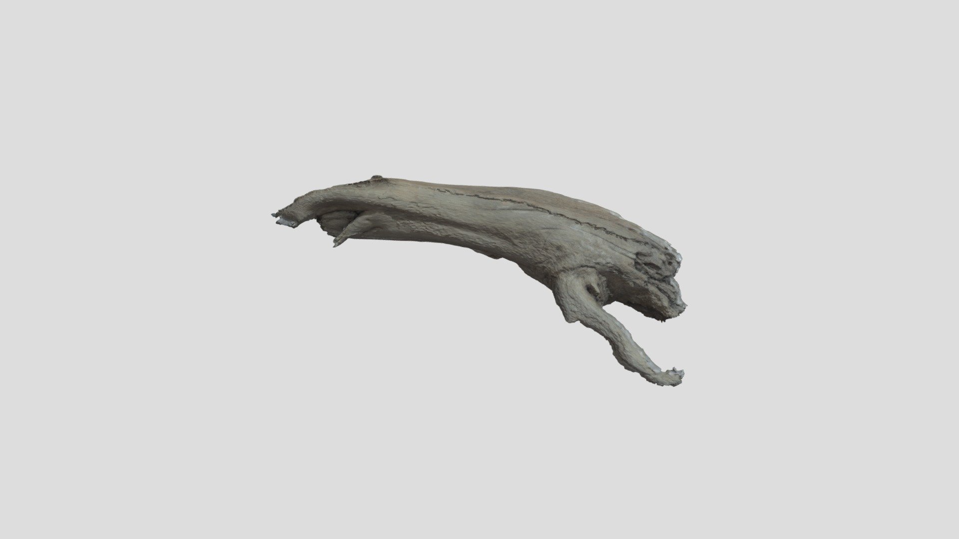 Log 6 High
