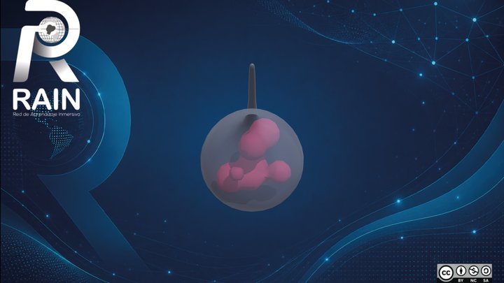 Bacteria flagelada – Free 3D Model STL