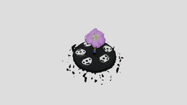 Test_15_far_withbackground 3D Model